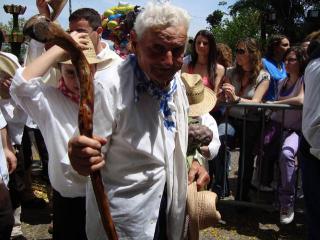 Immagine allegata alla scheda. Per averne una descrizione leggere i dettagli più in basso.